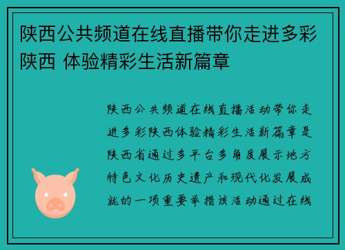 陕西公共频道在线直播带你走进多彩陕西 体验精彩生活新篇章