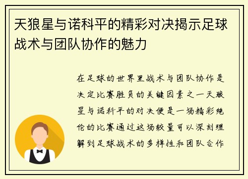 天狼星与诺科平的精彩对决揭示足球战术与团队协作的魅力